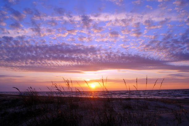 istock Following the sun. Delicate sunset over the sea with the grass in forward. 2170408079