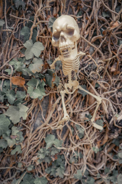 istock scary skeleton among tangled autumn branches with space for a Halloween costume party invitation 2170408263