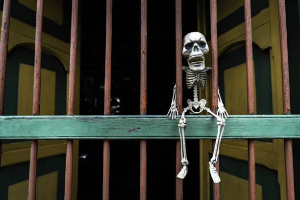 A human replica skeleton with arms raised on a black background. Focus selective on breast.