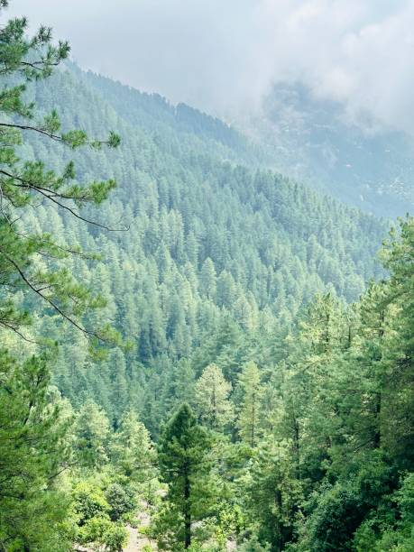 istock Stunning view of valley and mountains surrounded by clouds 2170411099
