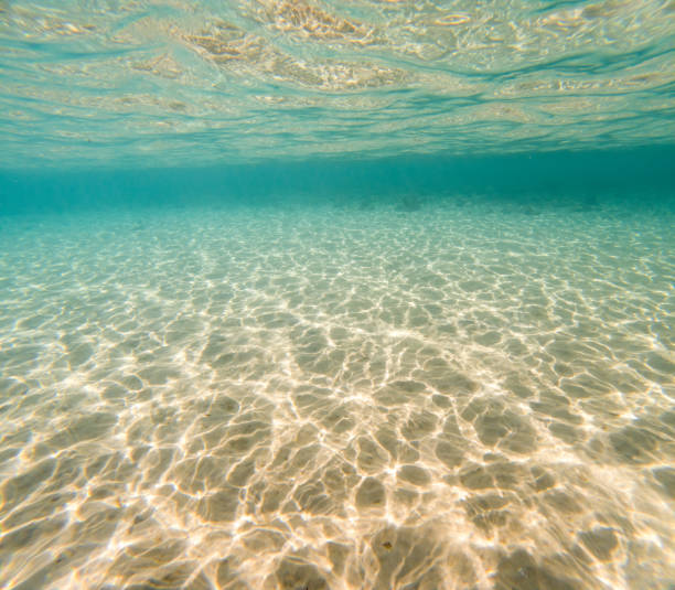 Underwater scene with stones, copy space. stock photo