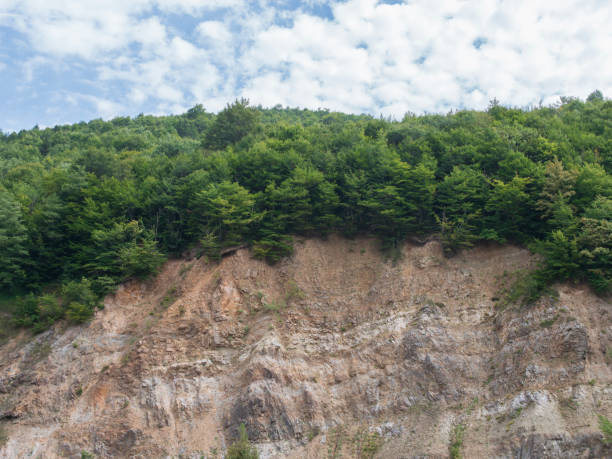 istock soil erosion under the forest. open trees roots due to landslides 2170414848