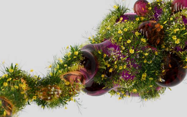istock Sustainability Environmental Organic Ecological Social Responsibility 2170415122
