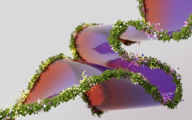 Sustainability Environmental Organic Ecological Social Responsibility