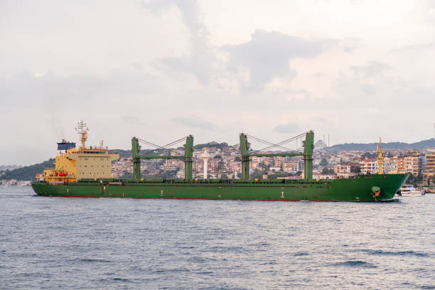 istock Cargo vessel cruises through the Bosphorus Strait, passing Istanbul's historic 2170415519