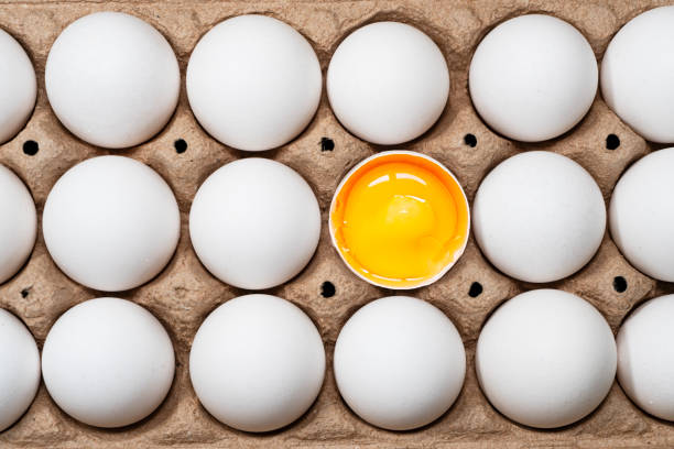 Flat lay Close-up view of chicken eggs with broken egg in egg crate.