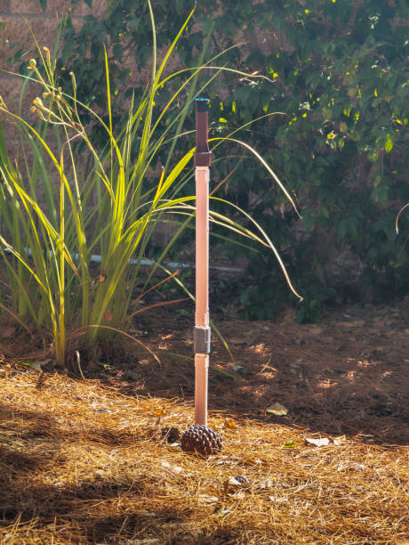 istock An elevated sprinkler in a planting bed in a garden 2170415924