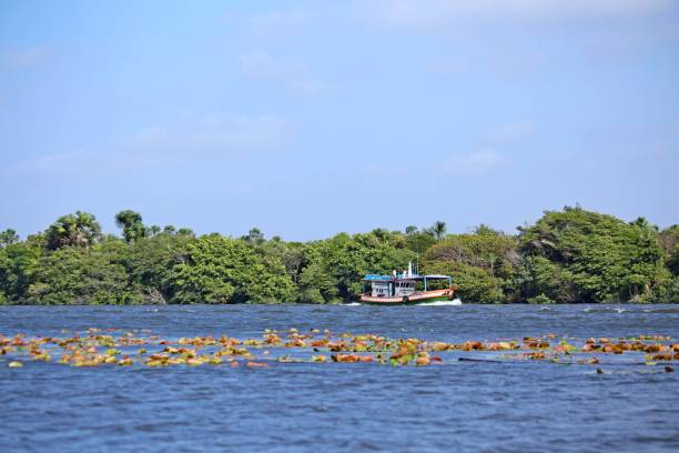 istock Preguica river, Maranhao, small boat crossing water 2170417346