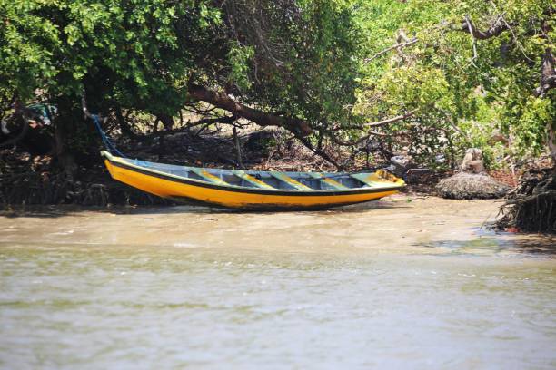 istock Yellow boat parked at river bank under tree shadow 2170417616