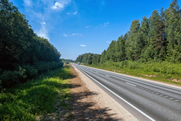 istock Tranquil Road With Trees and Blue Sky 2170419052