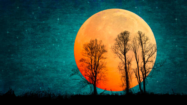 Full Moon, Tree Silhouettes, Starry Night, Vivid Colors - Atmospheric Mood. Copy Space. Elements of this image are provided by NASA.