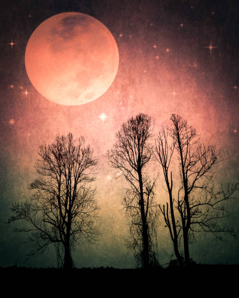istock Fantasy Night, Full Moon, Tree Silhouettes - Atmospheric Mood 2170422063