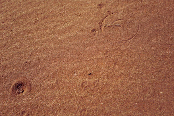 istock Desert landscapes and natural sand shapes 2170423708