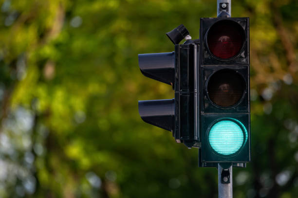 istock Green Traffic Light With Trees in Background. Blurred background with copy space. 2170425258