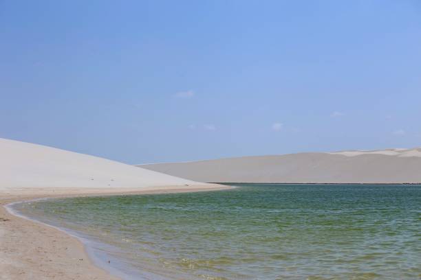istock Green water lagoon in sunny day light 2170425336