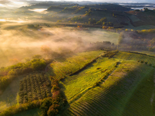 istock Fog in Vineyards in Tuscany, from drone 2170432751