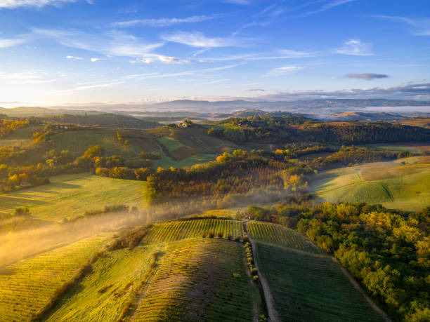 istock Fog in Vineyards in Tuscany, from drone 2170432791