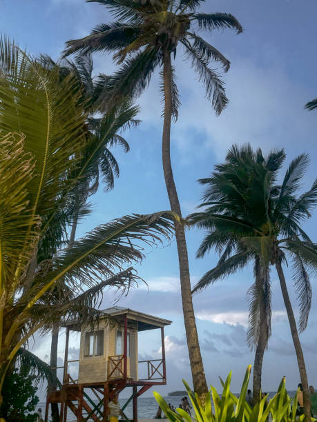 Photo of a hut in the middle of the beach with palm trees in San Andres Island, with a blue sky. It’s a paradisiacal, harmonious, Caribbean place.