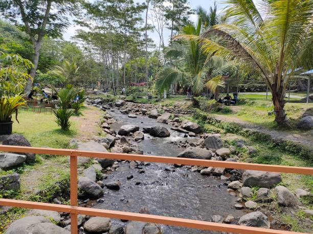 istock river on the edge of a small forest with beautiful views 2170439368