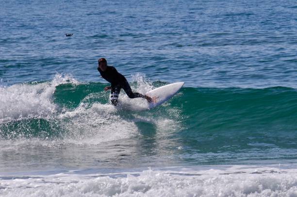 istock Surfer Leans into a Cut Back in Newport Beach 2170440315