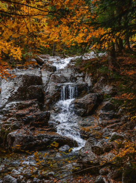 Autumn Water Cascading Down River Fall Foliage Adirondacks New York New England Forest Scenic Trail. Fall Foliage Colorful Leaves Nature Environment