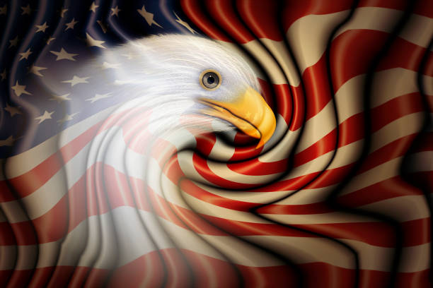 istock American Eagle Head on the United States Flag 2170442182