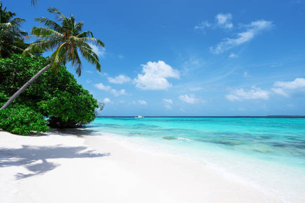 istock Tropical paradise beach scene for background or wallpaper 2170450244