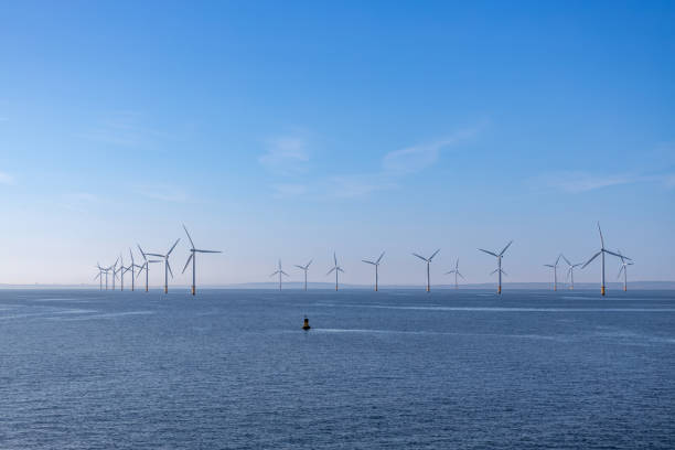 istock Giant wind turbines at sea in morning light 2170454104