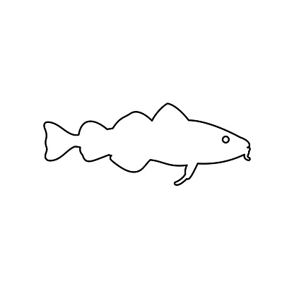 Cod Fish Outline Coloring Vector Illustration Of Fresh Cod Fish Ocean Fish Outline On White For ...