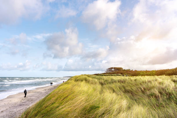 istock Scenic Baltic Sea Beach with Dunes and Lush Forest Coastline 2170456508