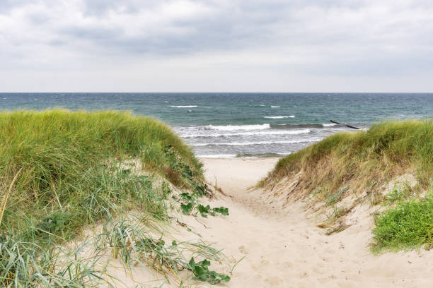 istock Scenic Baltic Sea Beach with Dunes and Forested Coastline 2170456519