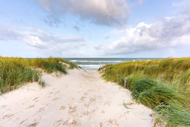 istock Scenic Baltic Sea Beach with Dunes and Forested Coastline View 2170456523