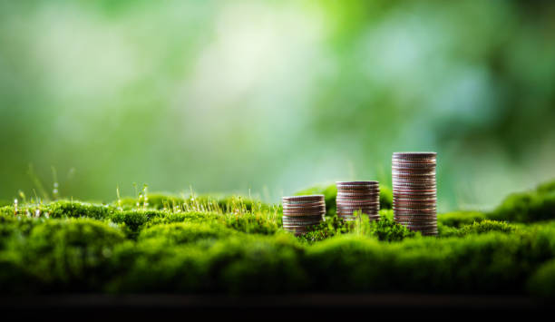 Stacked coins on lush green moss, symbolizing wealth and growth