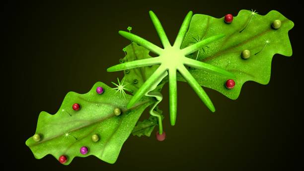 istock thallus plant anatomy. 3d illustration 2170460528