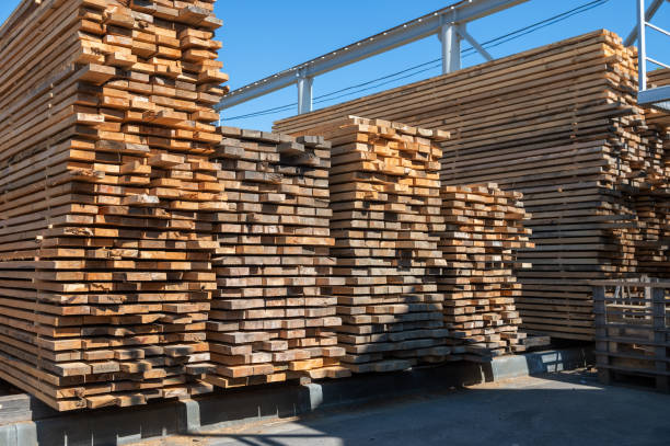 istock Warehouse with various types of timber 2170460835