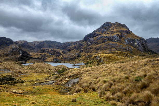 istock Mountains in Ecuadorian Andes 2170466682
