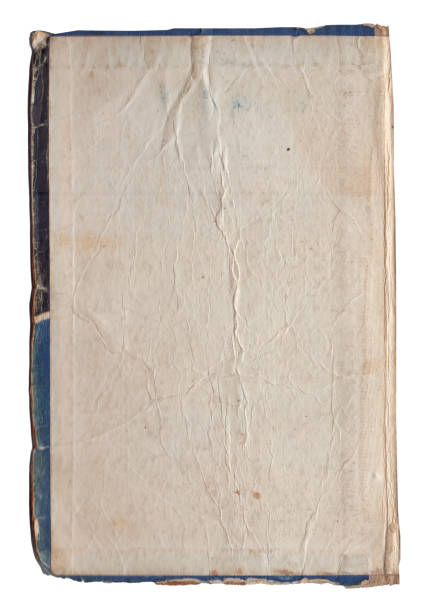 istock Vintage background of old ancient torn paper texture isolated 2170467929