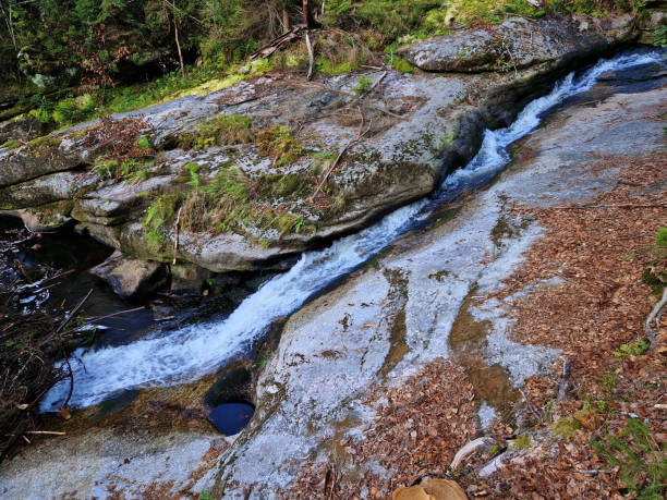 istock impenetrable gorges with waterfalls in the Nordic wilderness. logging is impossible here, mechanization will not get here. a groove from the trunk along which a trickle of water flows 2170468577