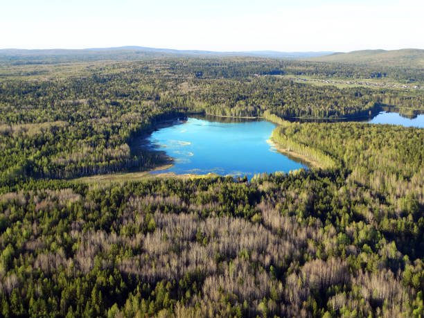 istock Blue lake in the summer forest between the mountains. View from above 2170468995