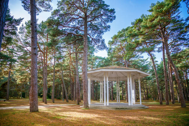 The white rotunda with its classical columns stands out amidst the tall pine trees in Birute Park, Palanga, Lithuania