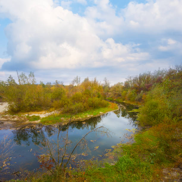 small calm river under blue cloudy sky with forest on coast