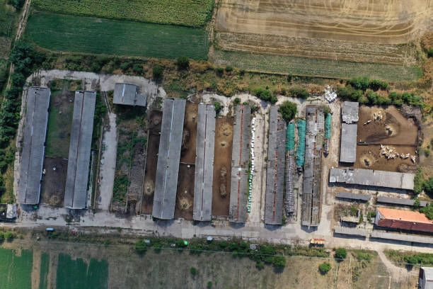 istock Bio farm, countryside cowshed, hangars, dairy cows, bio agricultural fields aerial 2170475131