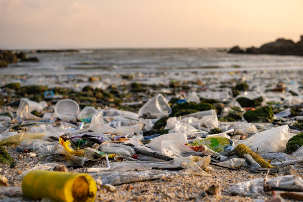 istock trash, plastic cups and plastic bags at the beach. environmental problem concept and healing the world 2170476704