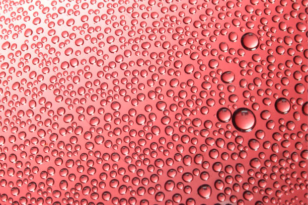 Various sizes of round water droplets on a soft pink surface create an interesting pattern.