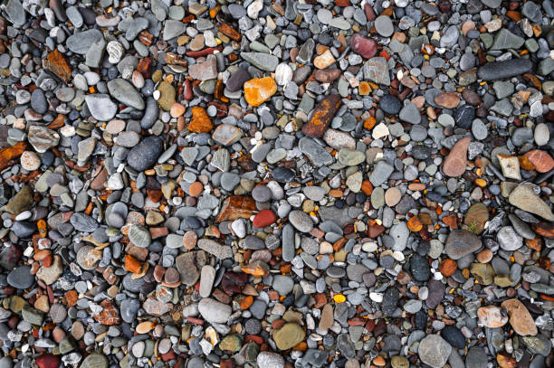 Background from a variety of colored sea pebbles, different shapes