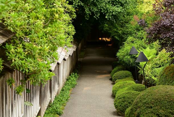 istock Serene garden pathway with lush greenery and decorative lamps 2170482112