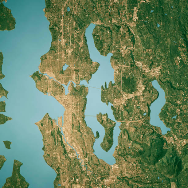Lake Washington Satellite Topographic Map 3D Render True Color