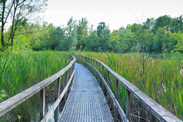 istock Scenic old footbridge over the lagoon 2170495850