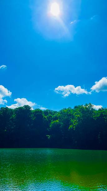 istock Lake on sunny day with blue sky. 2170497329