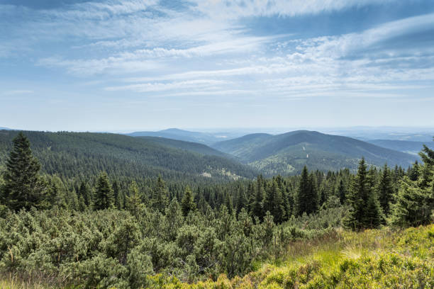 Czech view of Karkonosze Mountains hills with trees